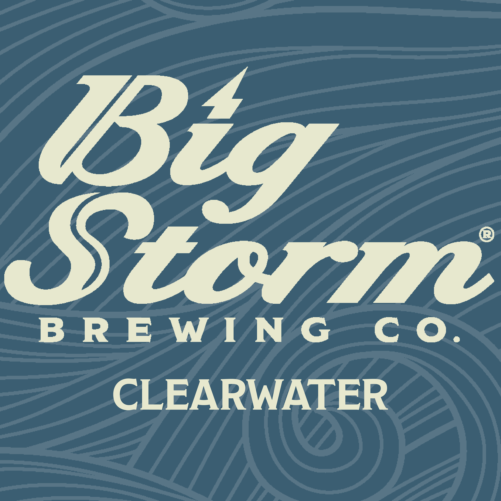 Logo for Big Storm